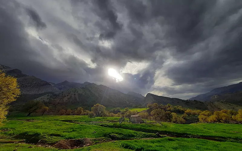 تصویر